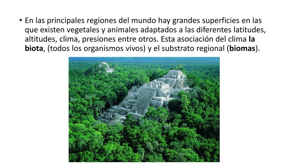 En las principales regiones del mundo hay grandes superficies en las que existen vegetales y animales adaptados a las diferentes latitudes, altitudes, clima, presiones entre otros.