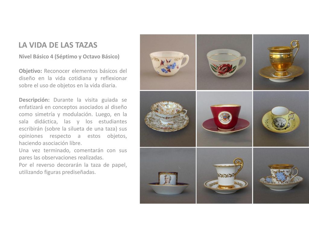 LA VIDA DE LAS TAZAS Nivel Básico 4 (Séptimo y Octavo Básico)
