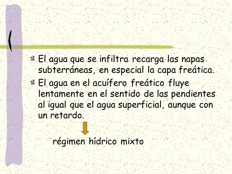El agua que se infiltra recarga las napas subterráneas, en especial la capa freática.
