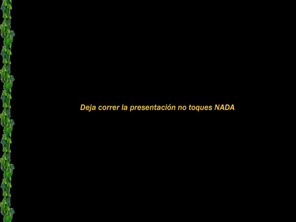 Deja correr la presentación no toques NADA