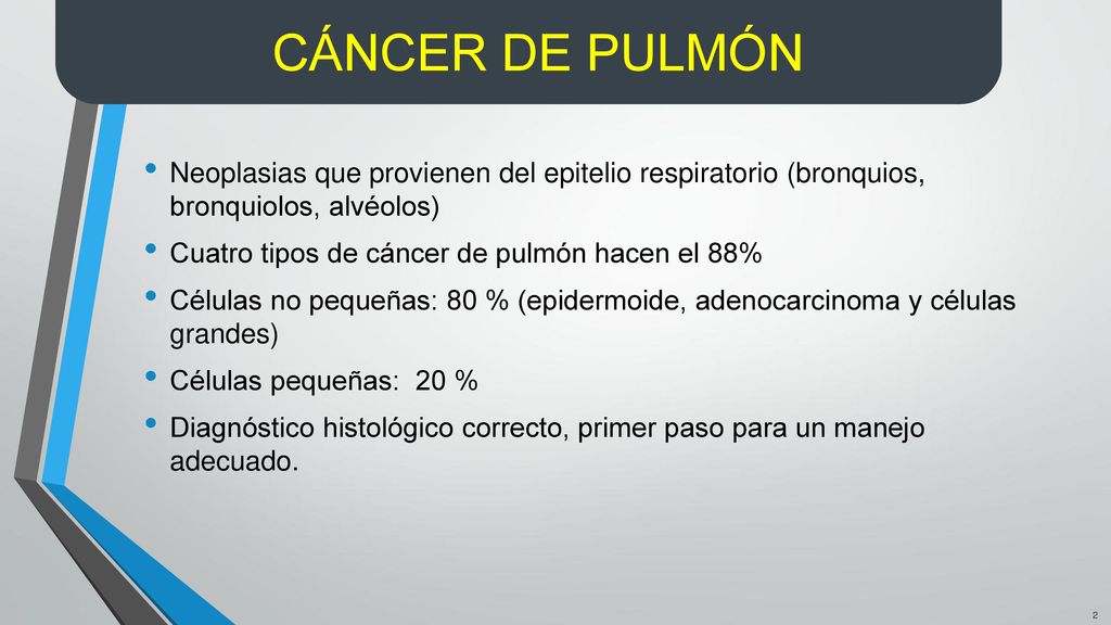 Nota para los países: Los países deben revisar el contenido para que muestre los datos locales. CÁNCER DE PULMÓN.