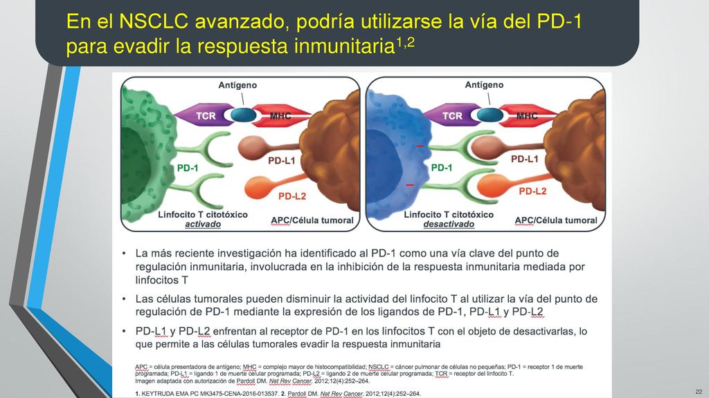 En el NSCLC avanzado, podría utilizarse la vía del PD-1 para evadir la respuesta inmunitaria1,2