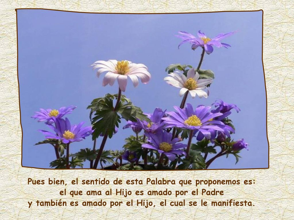 Pues bien, el sentido de esta Palabra que proponemos es: