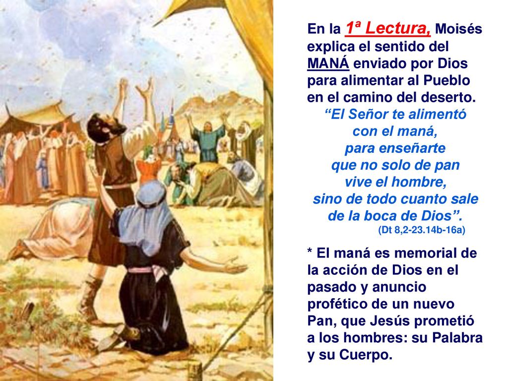 sino de todo cuanto sale de la boca de Dios .