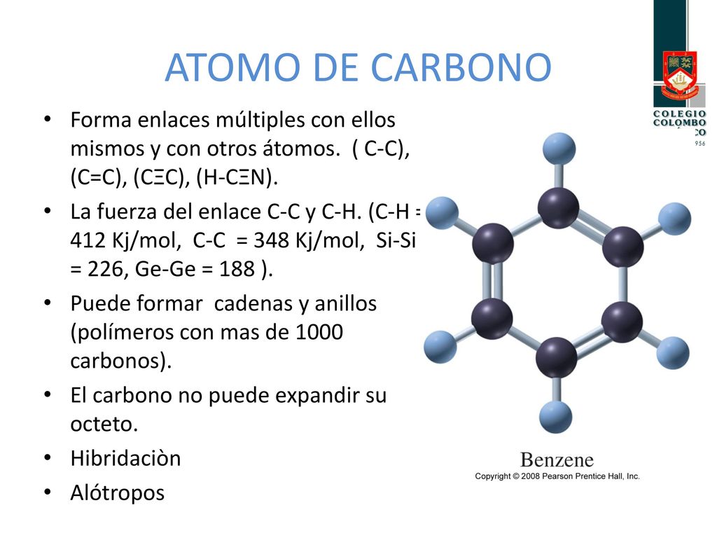 ATOMO DE CARBONO Forma enlaces múltiples con ellos mismos y con otros átomos. ( C-C), (C=C), (CΞC), (H-CΞN).