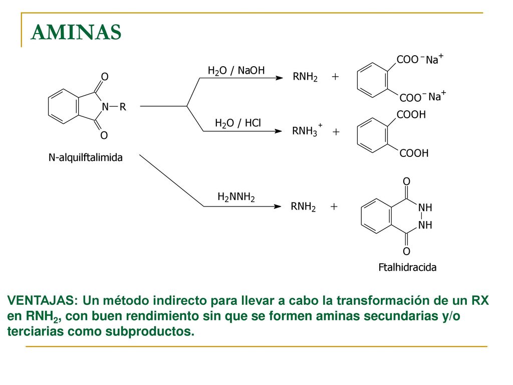 AMINAS VENTAJAS: Un método indirecto para llevar a cabo la transformación de un RX.
