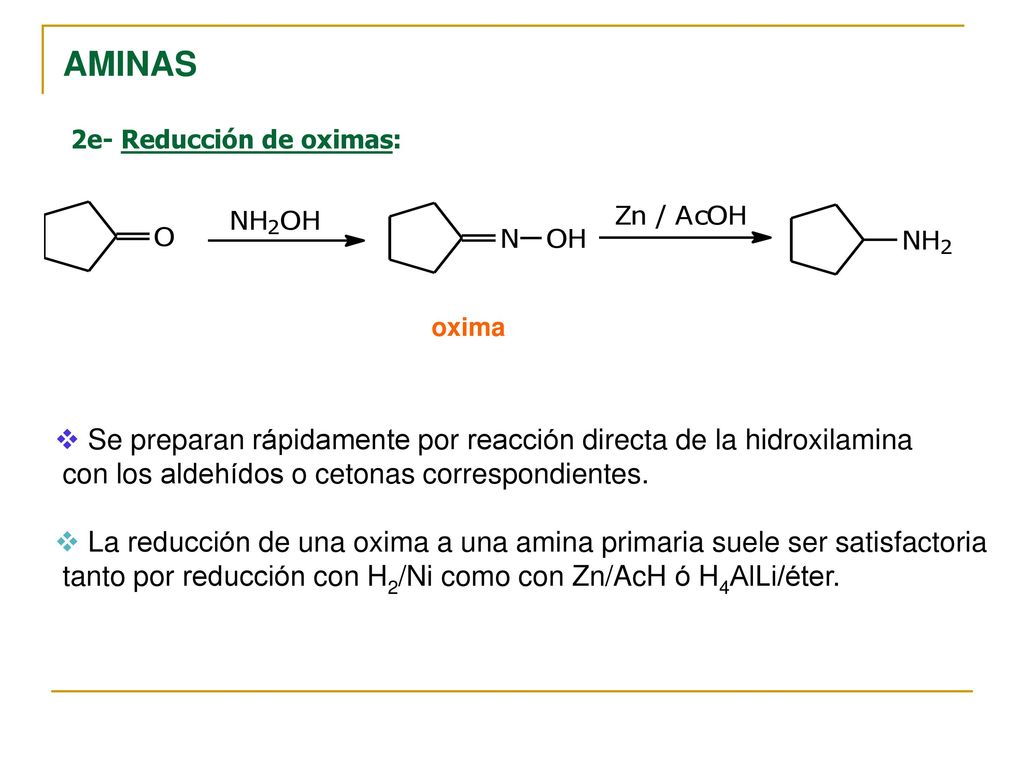 AMINAS 2e- Reducción de oximas: oxima. Se preparan rápidamente por reacción directa de la hidroxilamina.