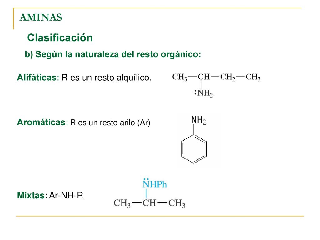 AMINAS Clasificación b) Según la naturaleza del resto orgánico: