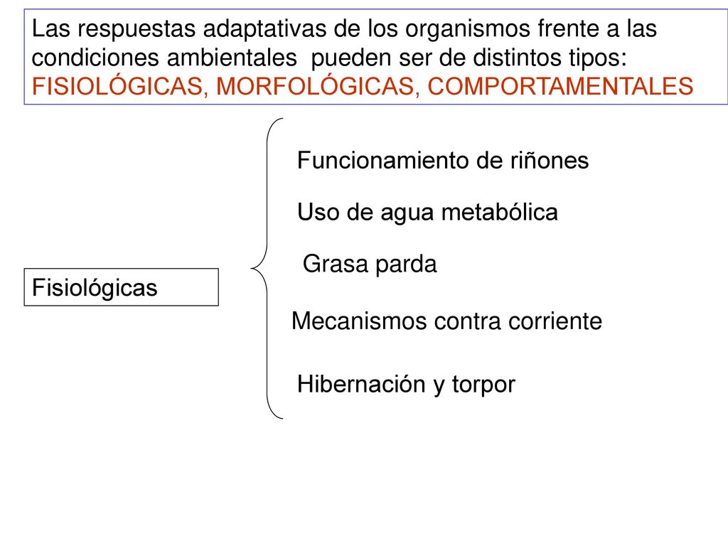 Las respuestas adaptativas de los organismos frente a las condiciones ambientales pueden ser de distintos tipos: FISIOLÓGICAS, MORFOLÓGICAS, COMPORTAMENTALES