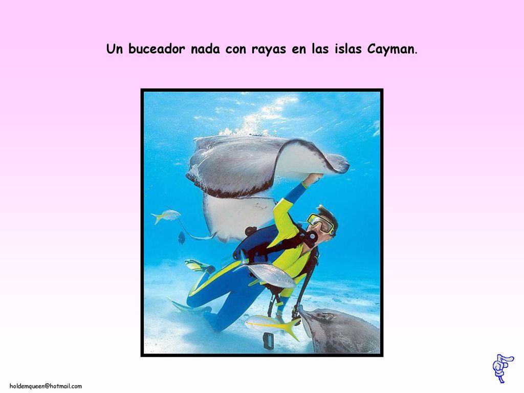 Un buceador nada con rayas en las islas Cayman.