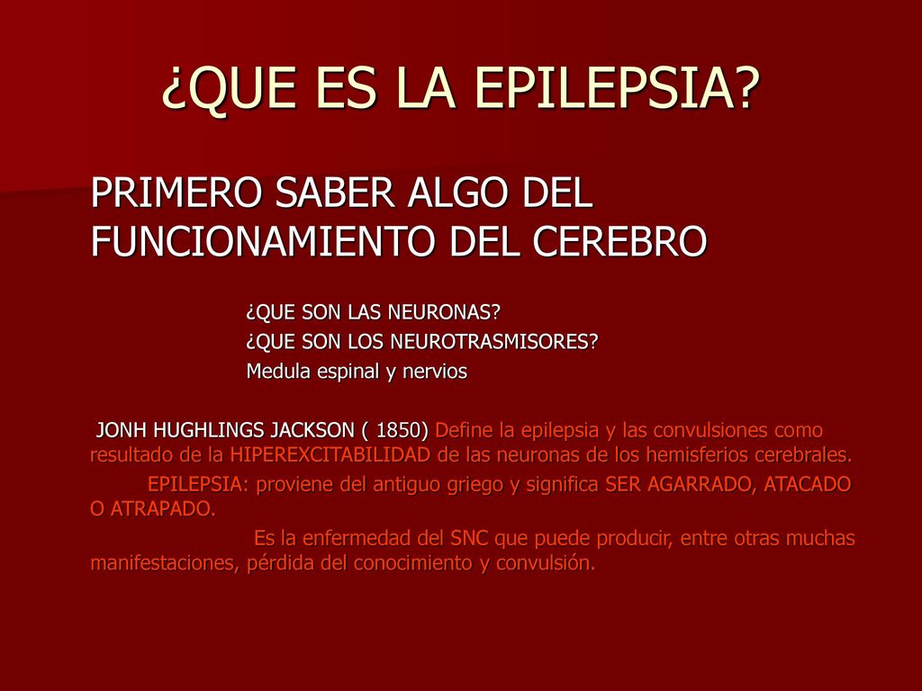 ¿QUE ES LA EPILEPSIA PRIMERO SABER ALGO DEL FUNCIONAMIENTO DEL CEREBRO. ¿QUE SON LAS NEURONAS ¿QUE SON LOS NEUROTRASMISORES