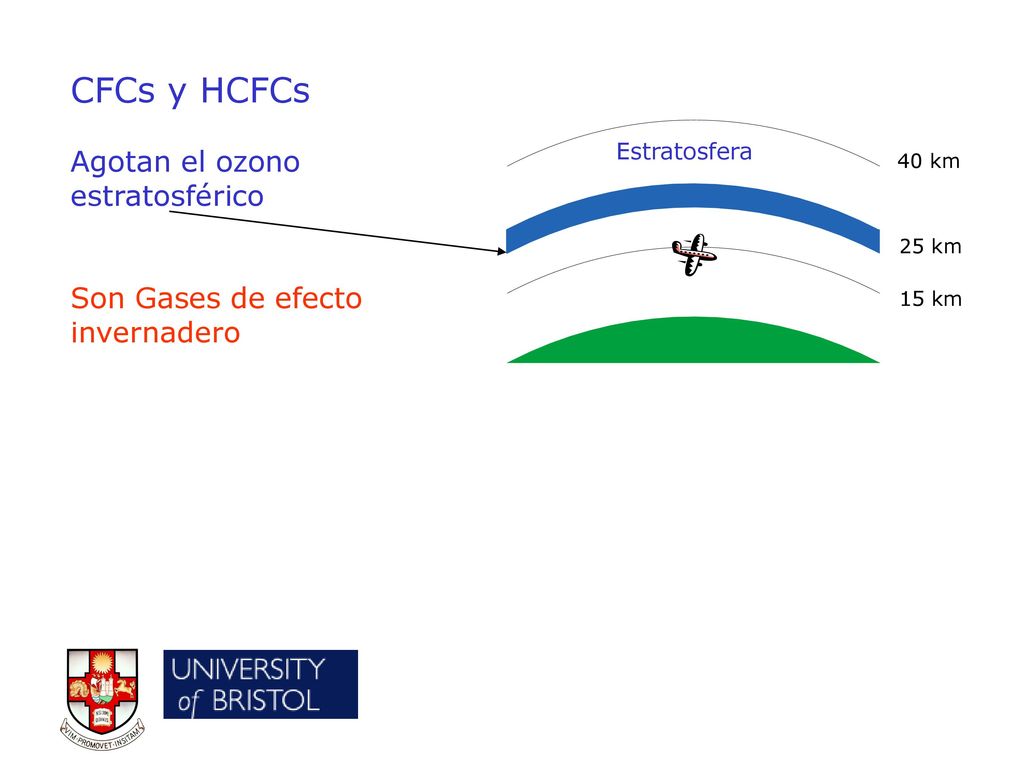 CFCs y HCFCs Agotan el ozono estratosférico Son Gases de efecto