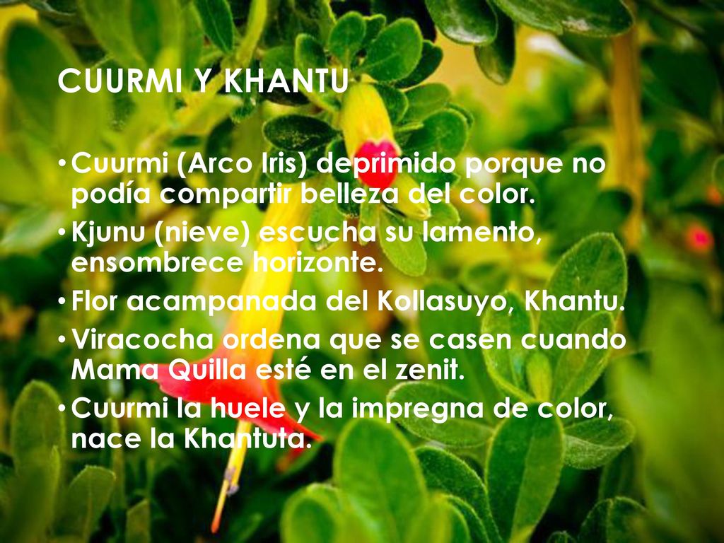 CUURMI Y KHANTU Cuurmi (Arco Iris) deprimido porque no podía compartir belleza del color. Kjunu (nieve) escucha su lamento, ensombrece horizonte.