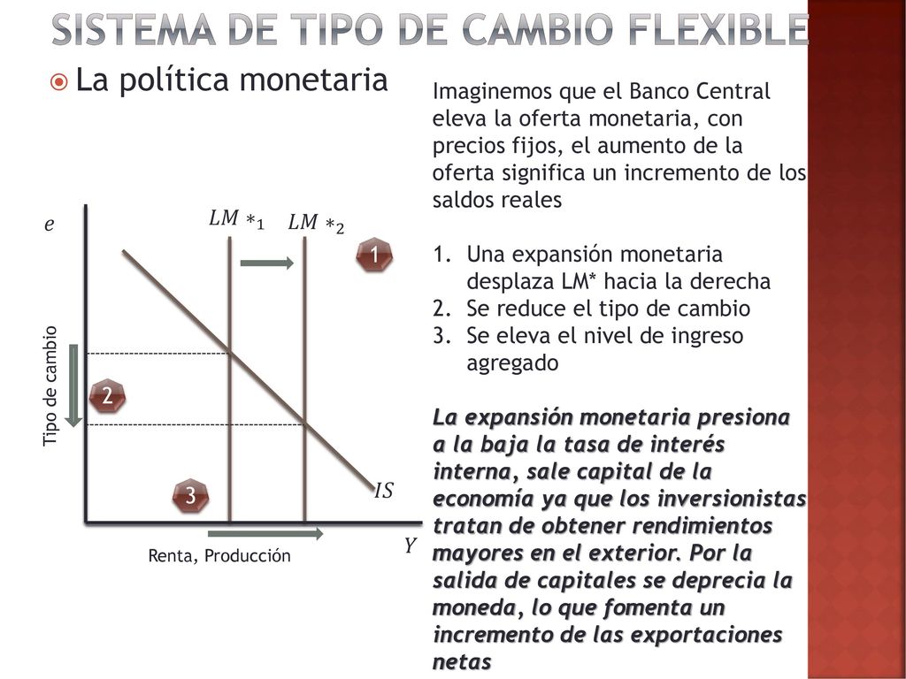 Sistema de tipo de cambio flexible