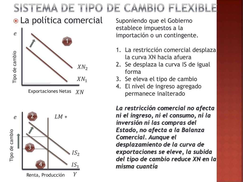 Sistema de tipo de cambio flexible
