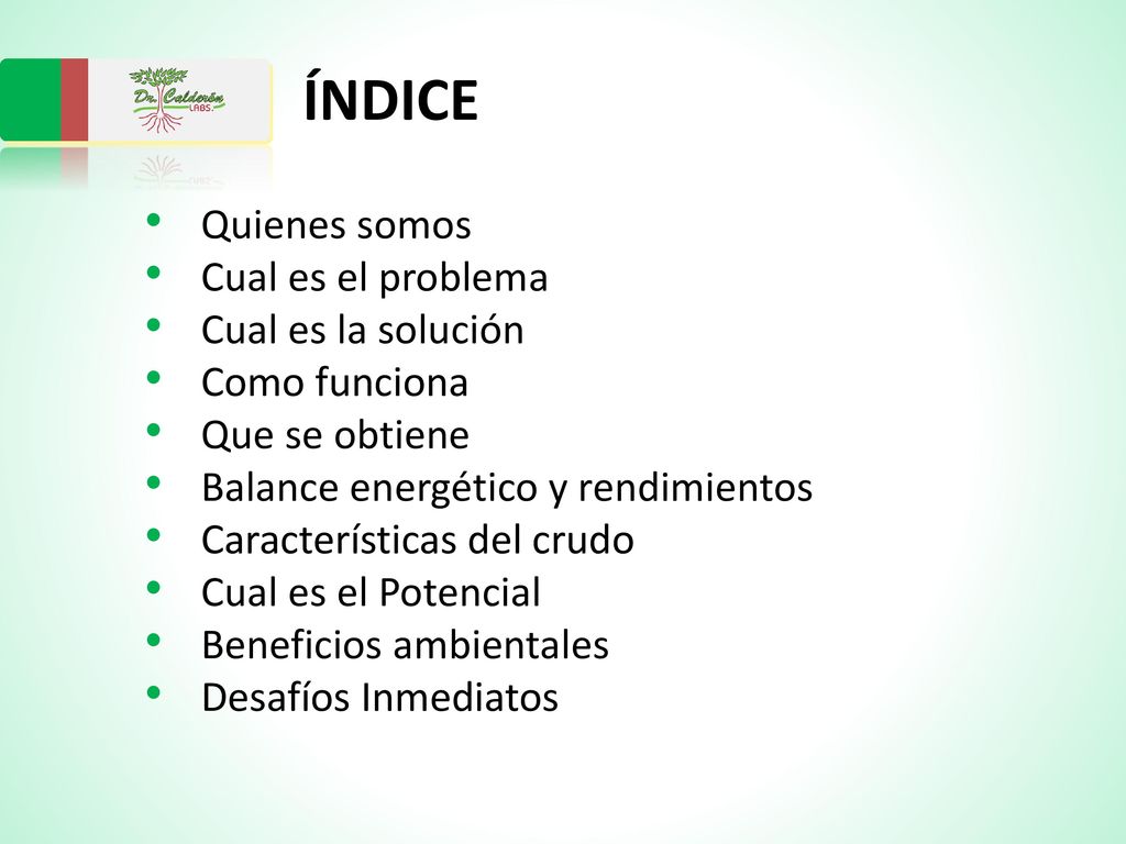 ÍNDICE Quienes somos Cual es el problema Cual es la solución
