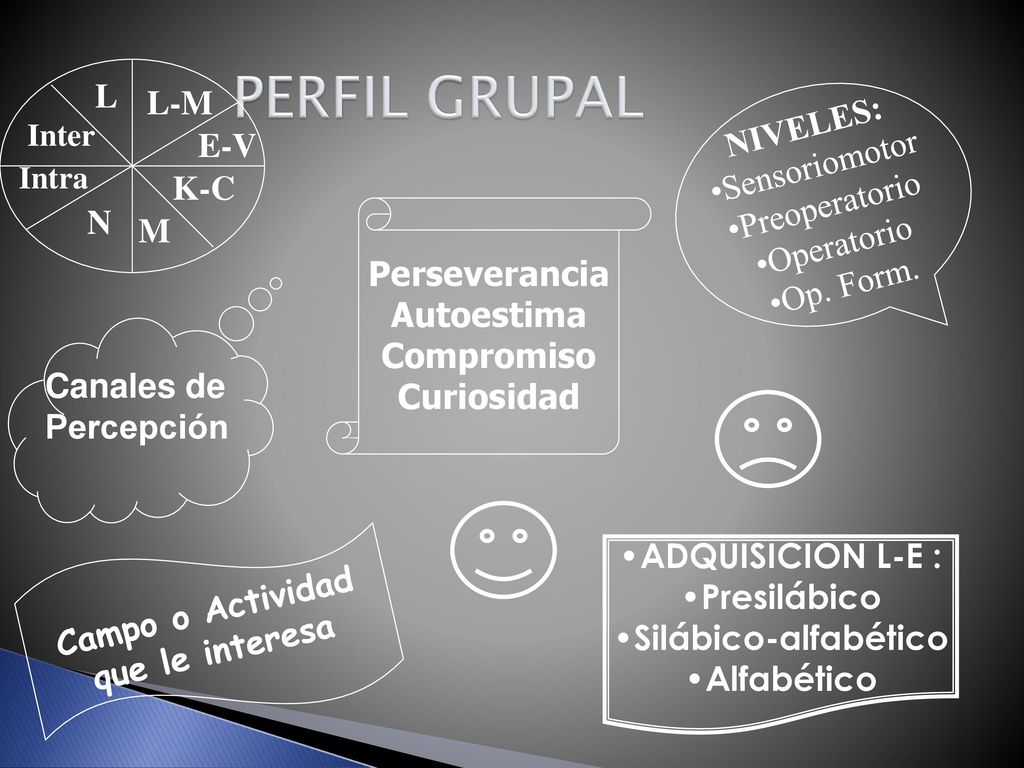 PERFIL GRUPAL L-M E-V K-C M N L NIVELES: Sensoriomotor Preoperatorio