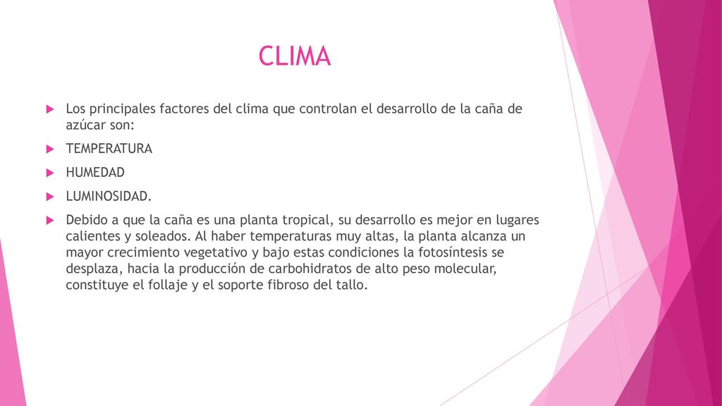 CLIMA Los principales factores del clima que controlan el desarrollo de la caña de azúcar son: TEMPERATURA.
