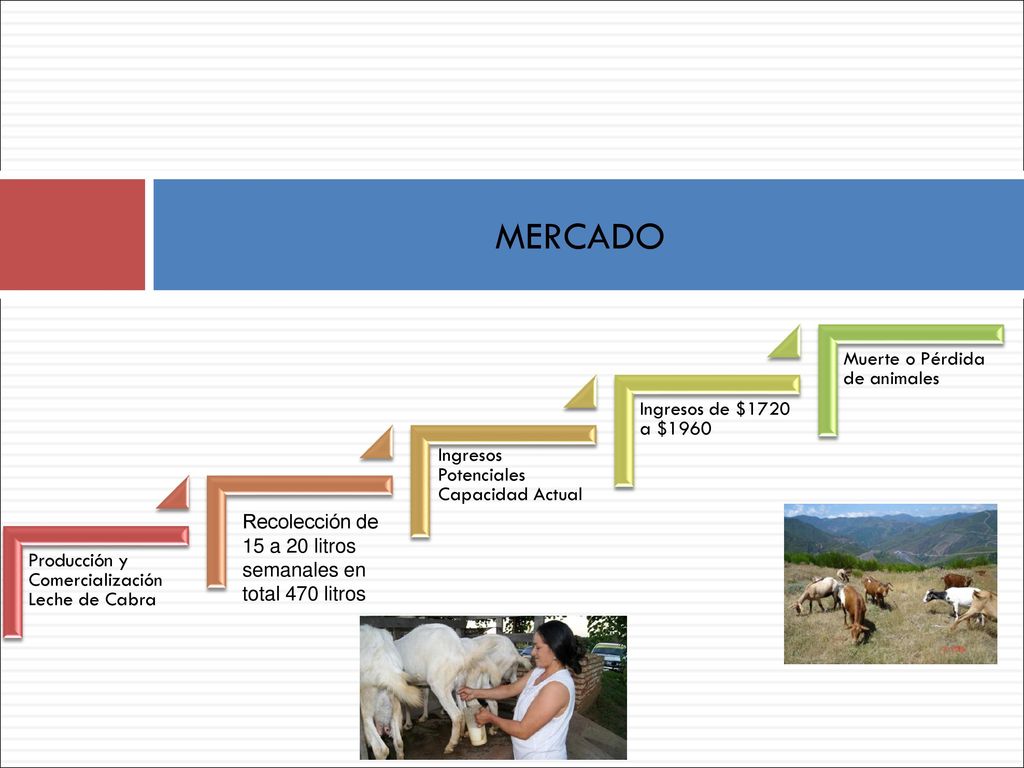 MERCADO Muerte o Pérdida de animales Ingresos de $1720 a $1960