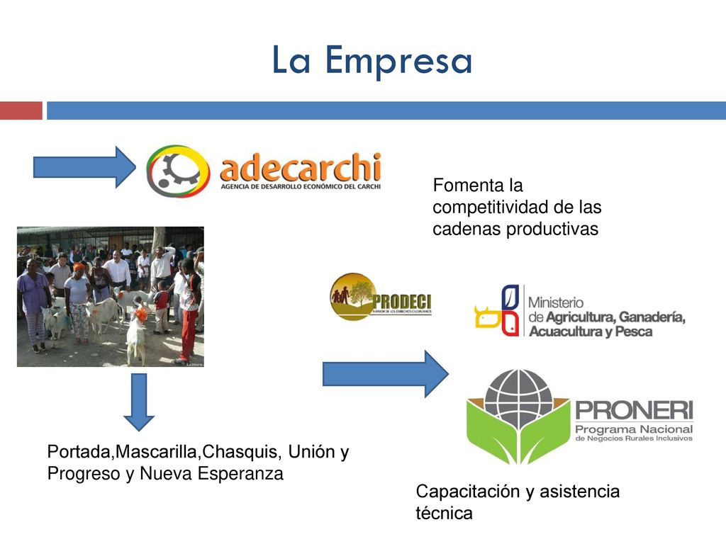 La Empresa Fomenta la competitividad de las cadenas productivas