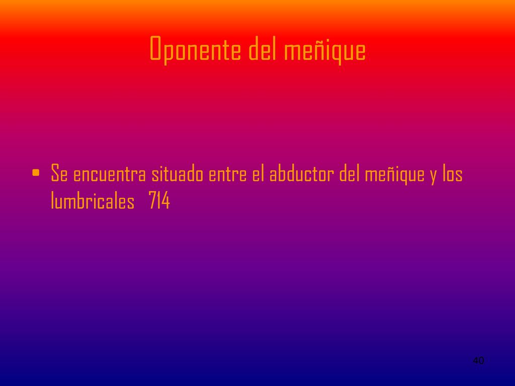 Oponente del meñique Se encuentra situado entre el abductor del meñique y los lumbricales 714