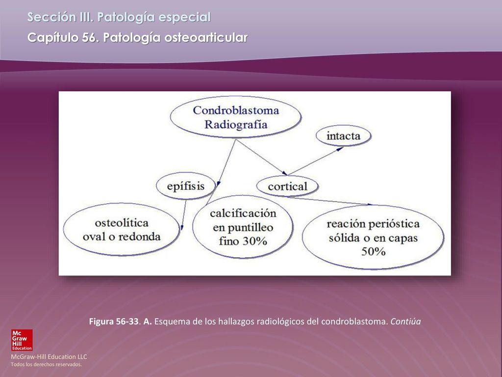 Figura A. Esquema de los hallazgos radiológicos del condroblastoma. Contiúa