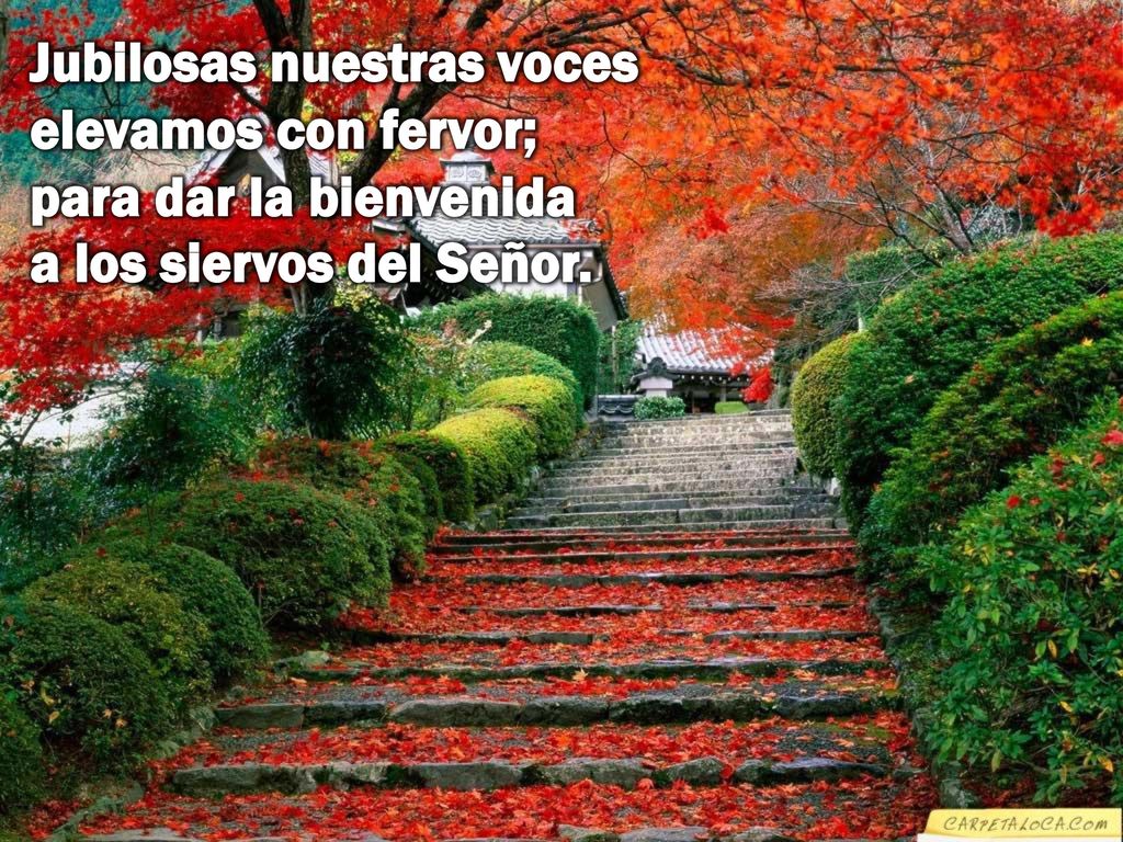 Jubilosas nuestras voces elevamos con fervor; para dar la bienvenida a los siervos del Señor.