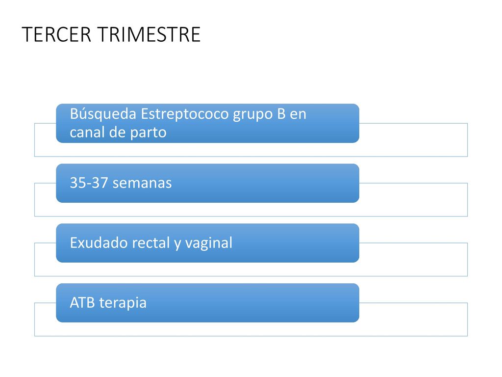 TERCER TRIMESTRE Búsqueda Estreptococo grupo B en canal de parto