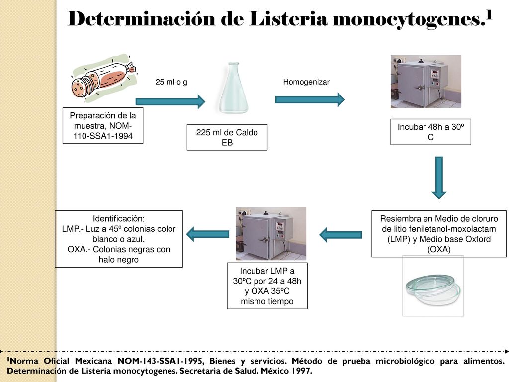 Determinación de Listeria monocytogenes.1