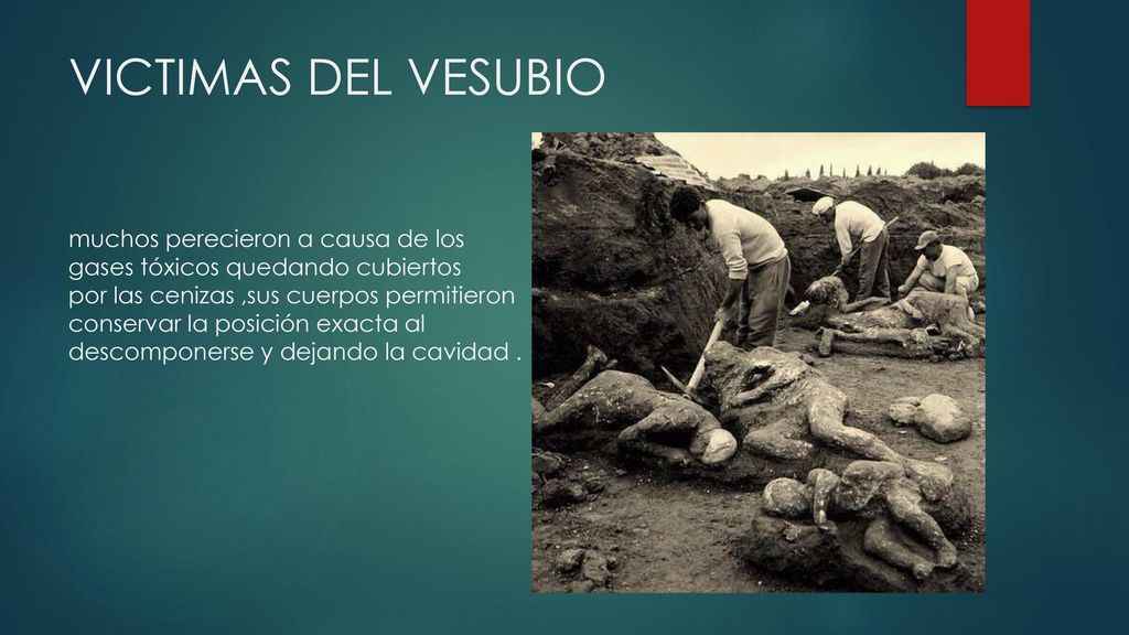 VICTIMAS DEL VESUBIO muchos perecieron a causa de los gases tóxicos quedando cubiertos por las cenizas ,sus cuerpos permitieron conservar la posición exacta al descomponerse y dejando la cavidad .