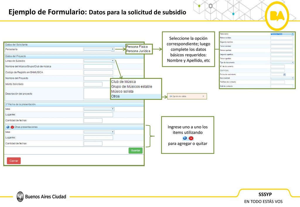 Ejemplo de Formulario: Datos para la solicitud de subsidio