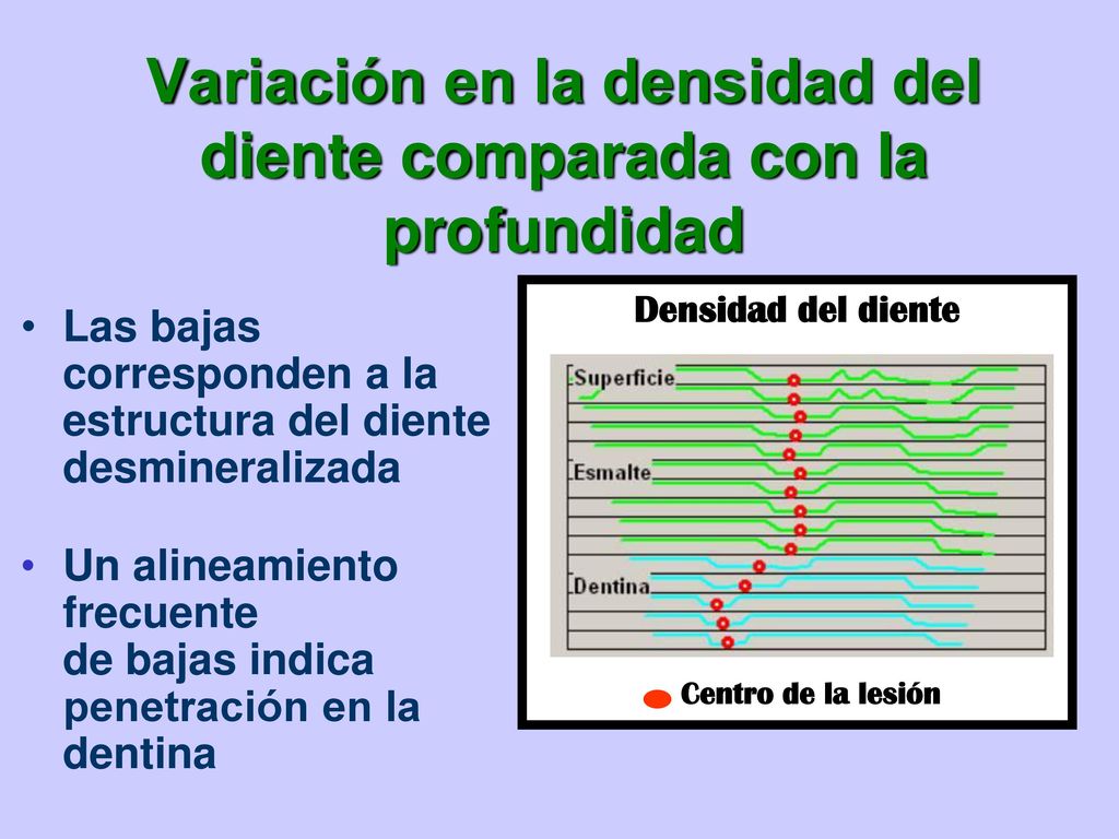 Variación en la densidad del diente comparada con la profundidad