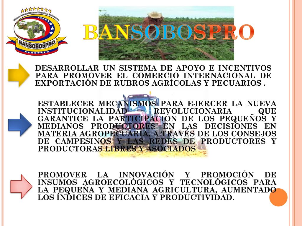BANSOBOSPRO DESARROLLAR UN SISTEMA DE APOYO E INCENTIVOS PARA PROMOVER EL COMERCIO INTERNACIONAL DE EXPORTACIÓN DE RUBROS AGRÍCOLAS Y PECUARIOS .