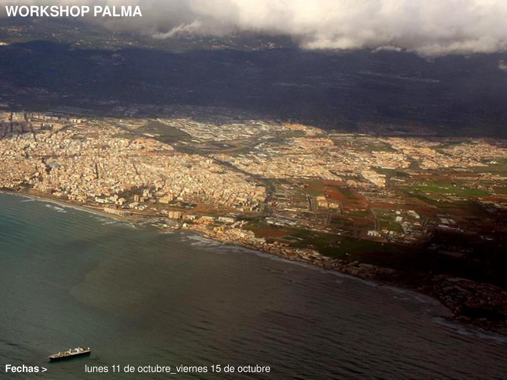 WORKSHOP PALMA Fechas > lunes 11 de octubre_viernes 15 de octubre