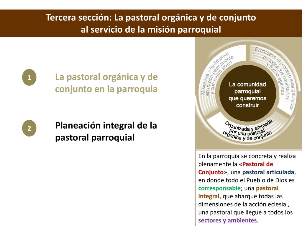 Tercera sección: La pastoral orgánica y de conjunto