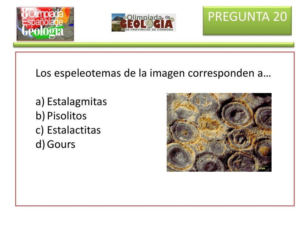 PREGUNTA 20 Los espeleotemas de la imagen corresponden a… Estalagmitas