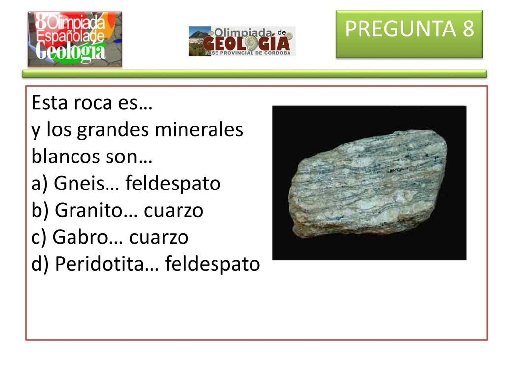 PREGUNTA 8 Esta roca es… y los grandes minerales blancos son…