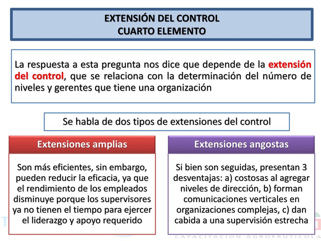 Se habla de dos tipos de extensiones del control