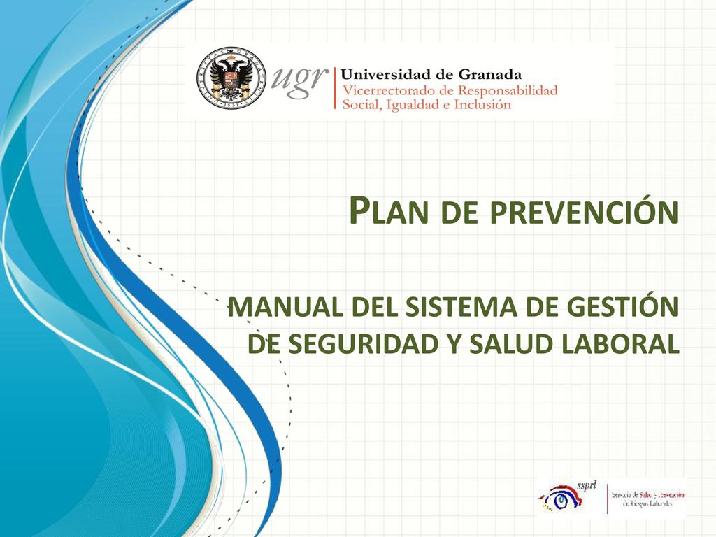 Plan de prevención MANUAL DEL SISTEMA DE GESTIÓN DE SEGURIDAD Y SALUD LABORAL