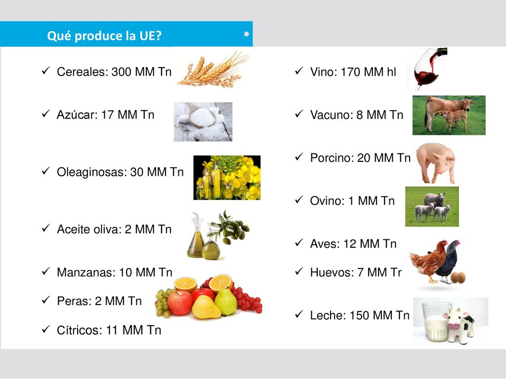 Qué produce la UE Cereales: 300 MM Tn Vino: 170 MM hl