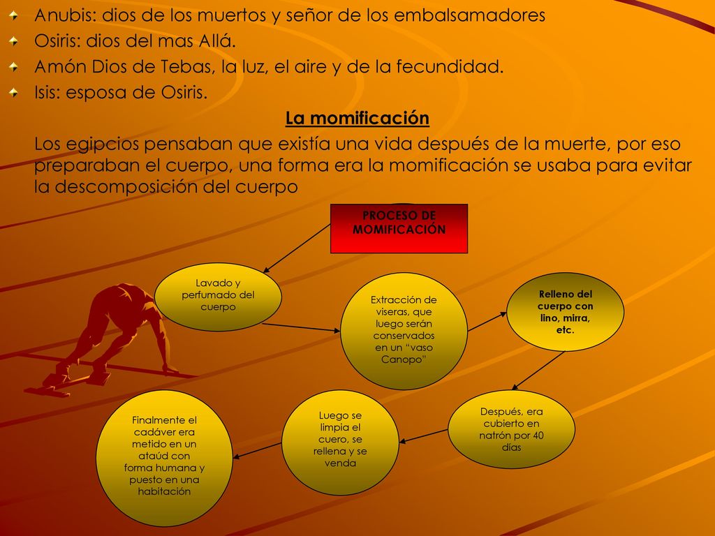Relleno del cuerpo con lino, mirra, etc. PROCESO DE MOMIFICACIÓN