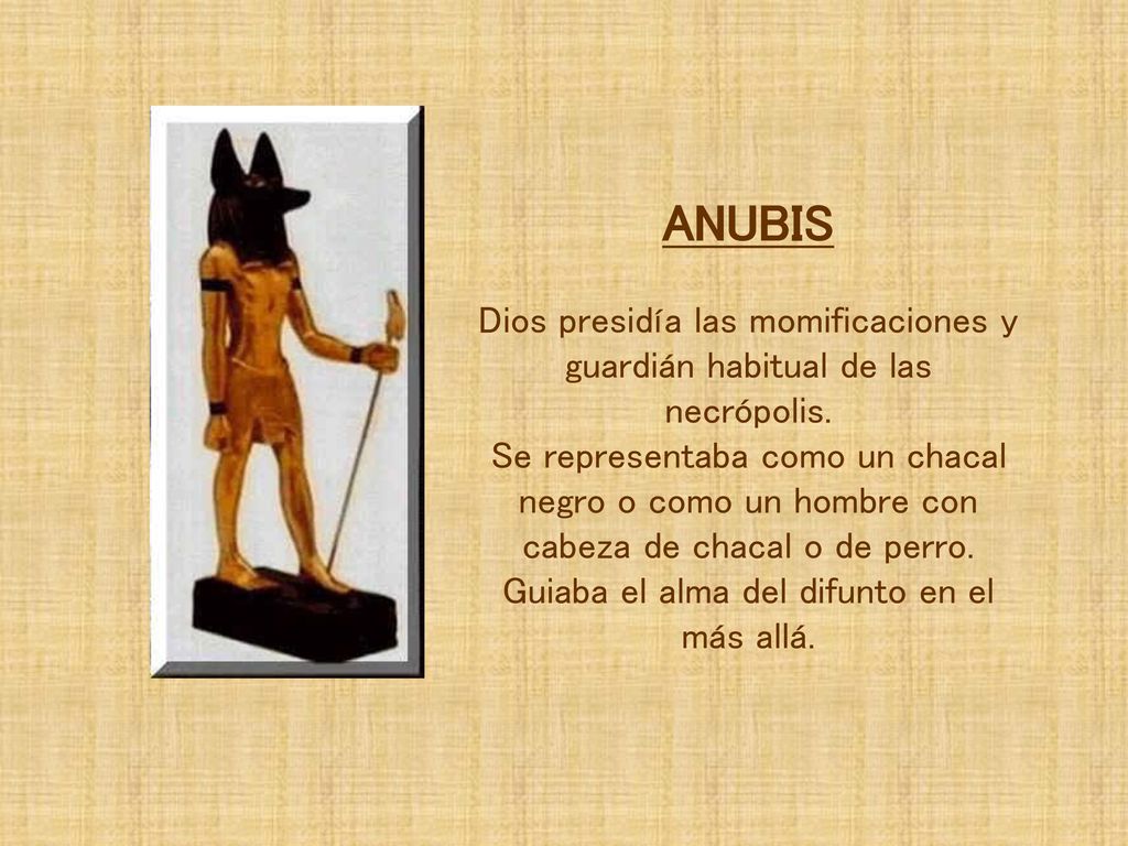 ANUBIS Dios presidía las momificaciones y guardián habitual de las necrópolis.