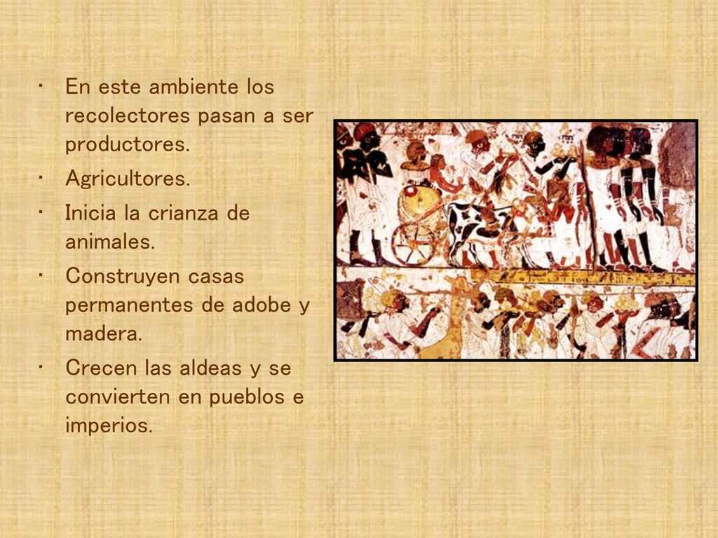 En este ambiente los recolectores pasan a ser productores.