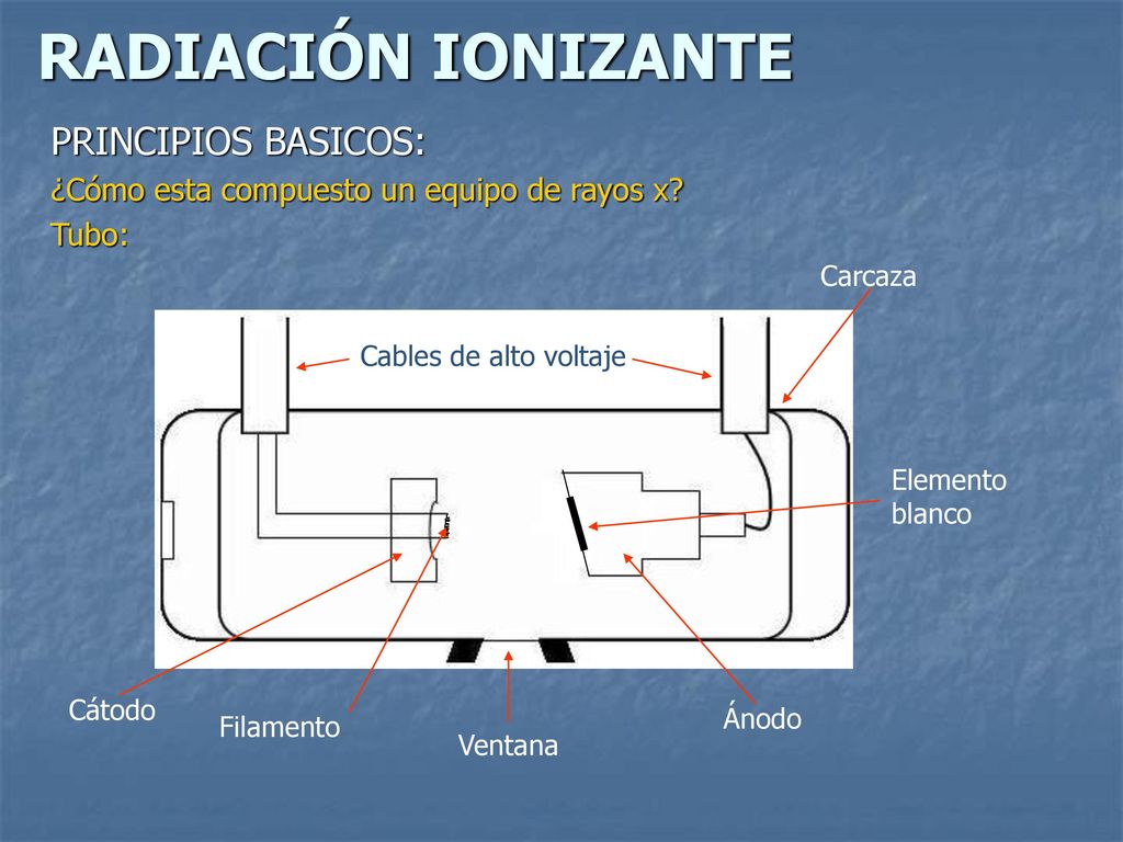 PRINCIPIOS BASICOS: ¿Cómo esta compuesto un equipo de rayos x Tubo: