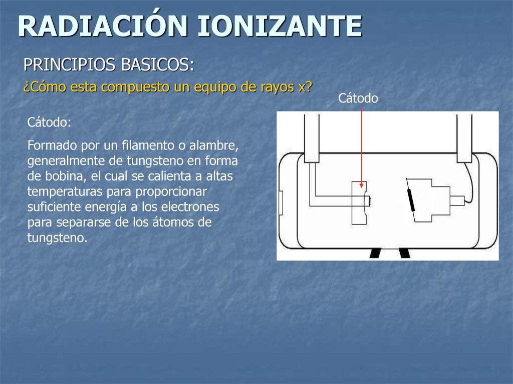 PRINCIPIOS BASICOS: ¿Cómo esta compuesto un equipo de rayos x