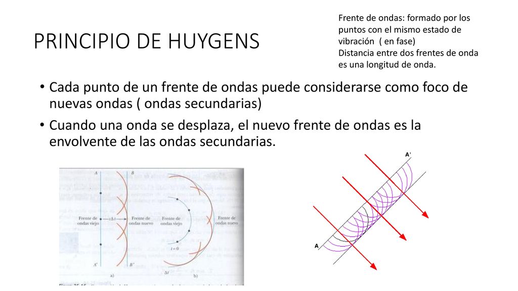 PRINCIPIO DE HUYGENS Frente de ondas: formado por los puntos con el mismo estado de vibración ( en fase)