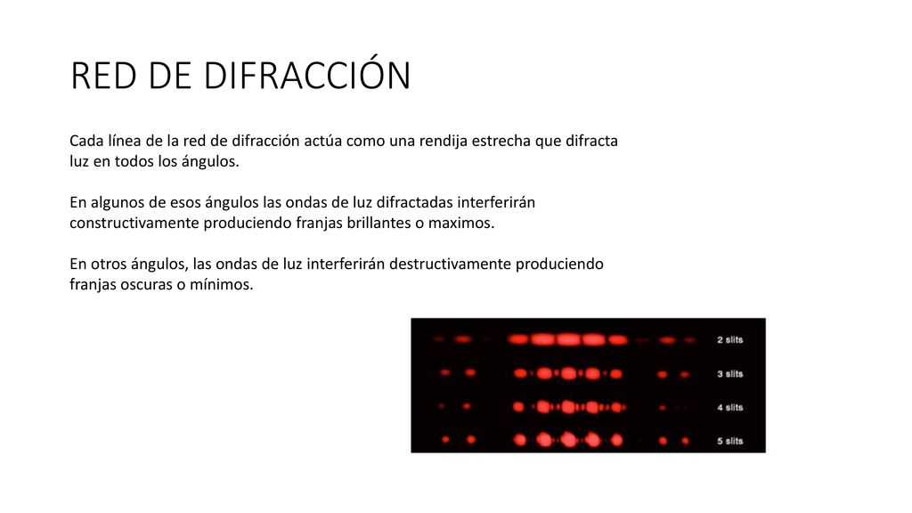 RED DE DIFRACCIÓN Cada línea de la red de difracción actúa como una rendija estrecha que difracta luz en todos los ángulos.