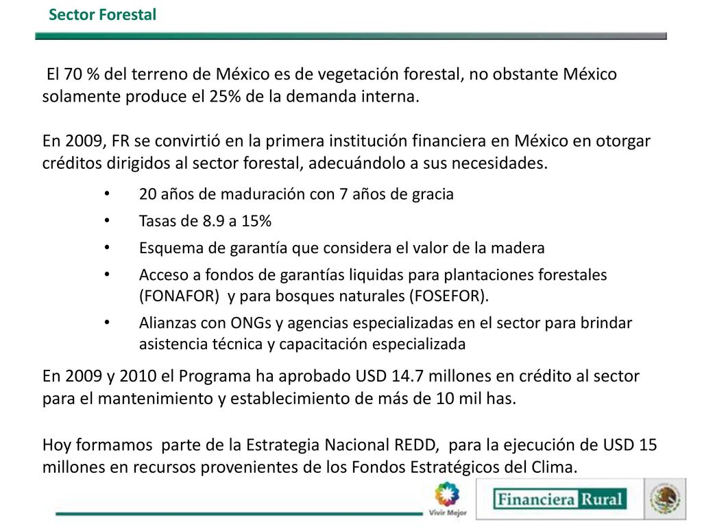 Sector Forestal El 70 % del terreno de México es de vegetación forestal, no obstante México solamente produce el 25% de la demanda interna.
