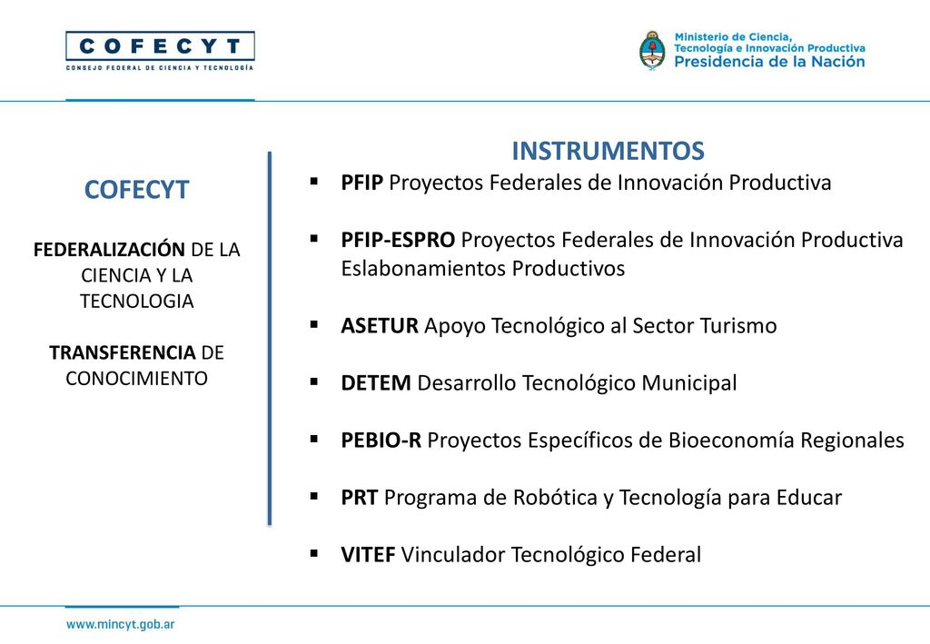 INSTRUMENTOS COFECYT PFIP Proyectos Federales de Innovación Productiva
