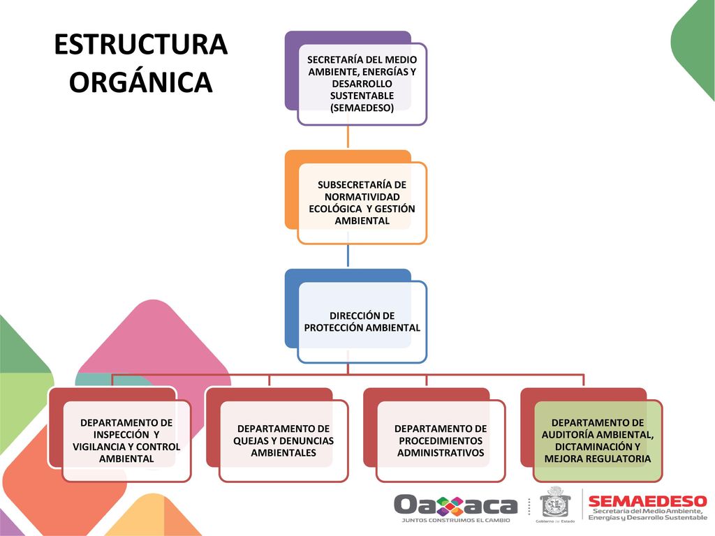ESTRUCTURA ORGÁNICA SECRETARÍA DEL MEDIO AMBIENTE, ENERGÍAS Y DESARROLLO SUSTENTABLE (SEMAEDESO)